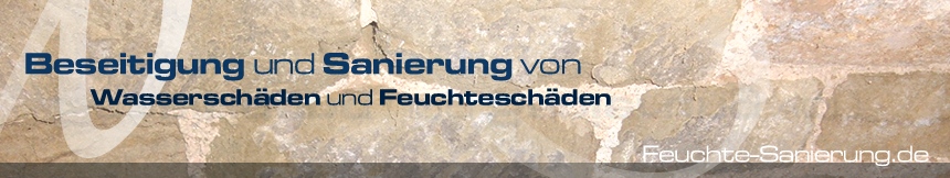 Beseitigung und Sanierung von Wasserschäden und Feuchteschäden