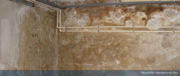 Salzausblühungen und farbliche Veränderungen